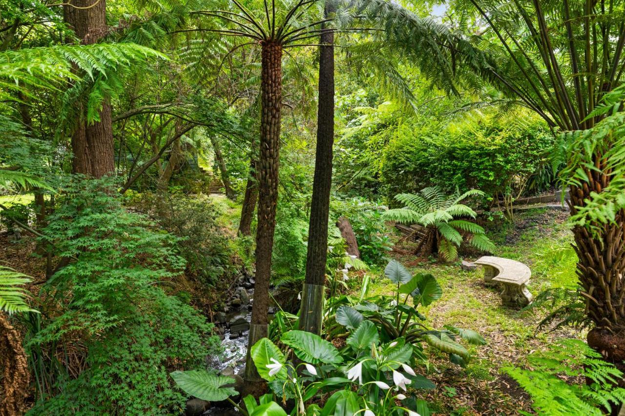 Paddys Creek Retreat Villa Upwey Esterno foto