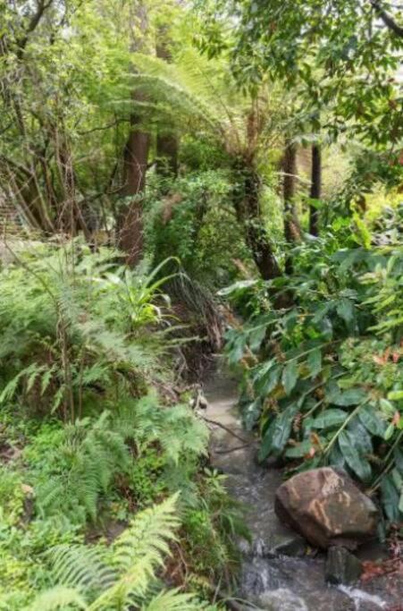 Paddys Creek Retreat Villa Upwey Esterno foto