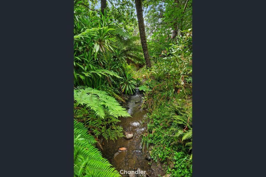 Paddys Creek Retreat Villa Upwey Esterno foto